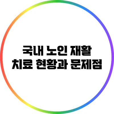 국내 노인 재활 치료 현황과 문제점