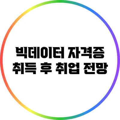 빅데이터 자격증 취득 후 취업 전망