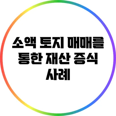 소액 토지 매매를 통한 재산 증식 사례