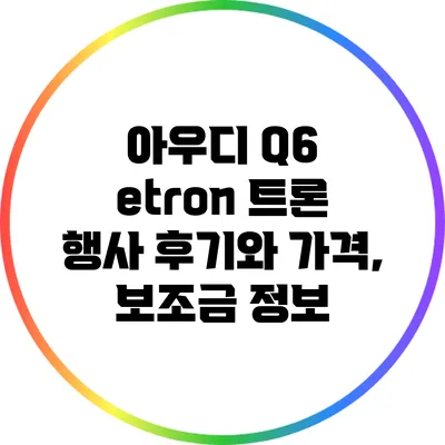 아우디 Q6 etron 트론 행사 후기와 가격, 보조금 정보