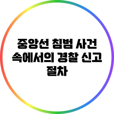 중앙선 침범 사건 속에서의 경찰 신고 절차