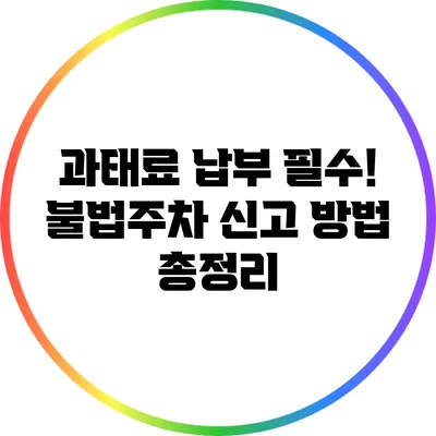 과태료 납부 필수! 불법주차 신고 방법 총정리