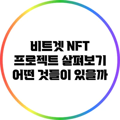 비트겟 NFT 프로젝트 살펴보기: 어떤 것들이 있을까?