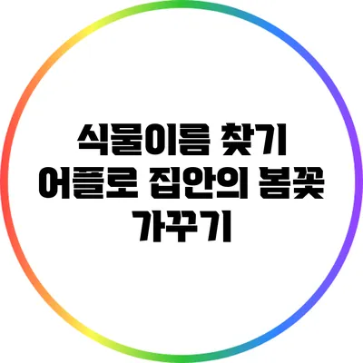 식물이름 찾기 어플로 집안의 봄꽃 가꾸기