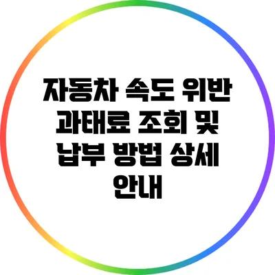 자동차 속도 위반 과태료 조회 및 납부 방법 상세 안내