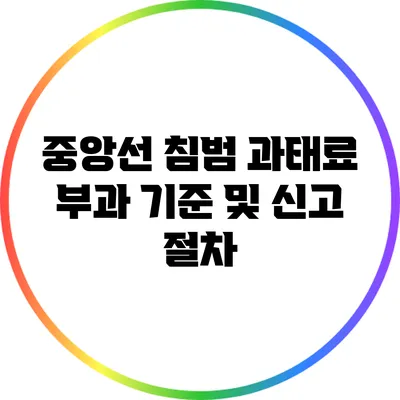 중앙선 침범 과태료 부과 기준 및 신고 절차