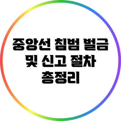 중앙선 침범 벌금 및 신고 절차 총정리