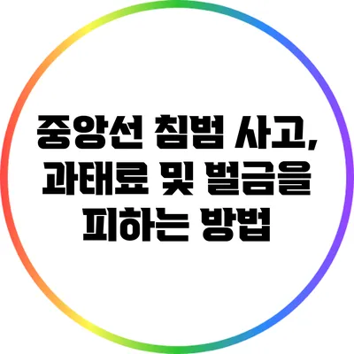 중앙선 침범 사고, 과태료 및 벌금을 피하는 방법