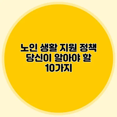 노인 생활 지원 정책: 당신이 알아야 할 10가지