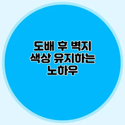 도배 후 벽지 색상 유지하는 노하우