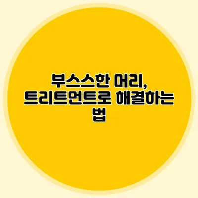 부스스한 머리, 트리트먼트로 해결하는 법