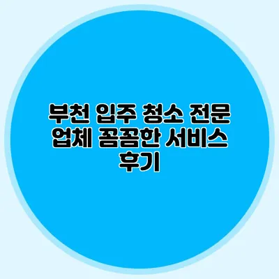 부천 입주 청소 전문 업체: 꼼꼼한 서비스 후기